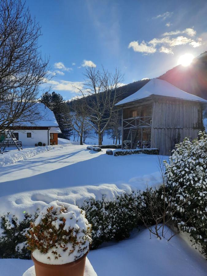 Appartamento Attwengerhof Traunkirchen Esterno foto