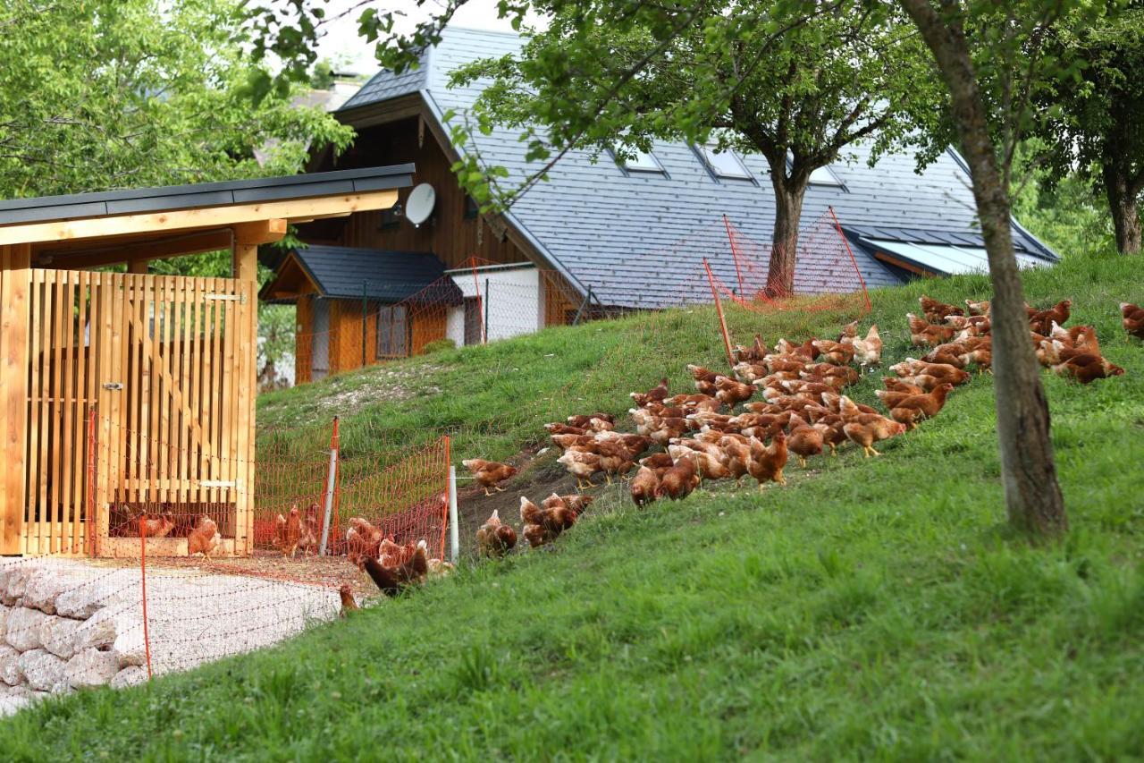 Appartamento Attwengerhof Traunkirchen Esterno foto