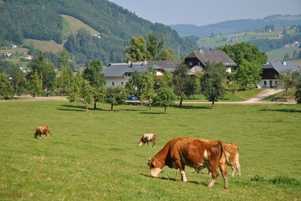 Appartamento Attwengerhof Traunkirchen Esterno foto